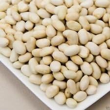 White Marrow Bean Vegetable Seeds for Planting heirloom & Non-GMO Seeds